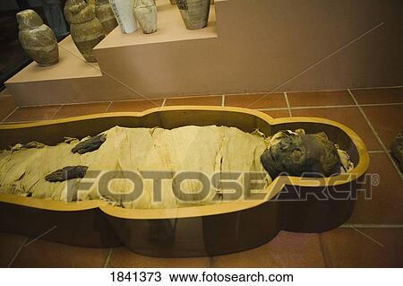 Mummy In Coffin; Rome, Italy View Large Photo Image Stock Image - Mummy In Coffin; Rome, Italy. Fotosearch