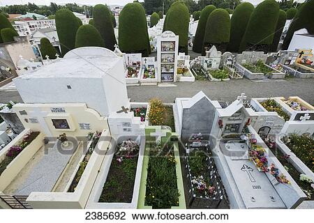 Municipal cemetery; Punta Arenas, Magallanes, Chile View Large Photo Image Stock Image - Municipal cemetery; Punta Arenas, Magallanes, Chile. Fotosearch