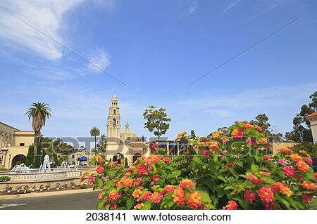 Museum Of Man And The California Bell Tower In Balboa Park; San Diego California United States Of America View Large Photo Image Stock Image - Museum Of Man And The California Bell Tower In Balboa Park; San Diego California United States Of America. Fotosearch