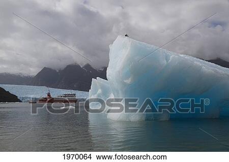 Mv Skorpios In Front Of The San Rafael Glacier, Laguna San Rafael National Park, Aysen Region, Chile View Large Photo Image Picture - Mv Skorpios In Front Of The San Rafael Glacier, Laguna San Rafael National Park, Aysen Region, Chile. Fotosearch