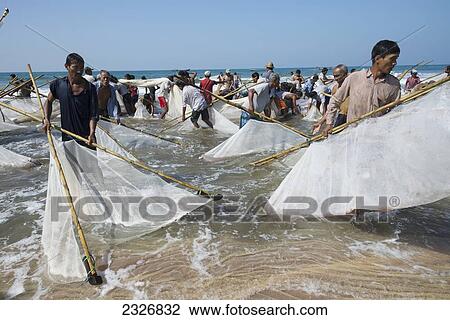 Myanmar (Burma), Fishing of small prawn; Irrawaddyi division View Large Photo Image Stock Image - Myanmar (Burma), Fishing of small prawn; Irrawaddyi division. Fotosearch
