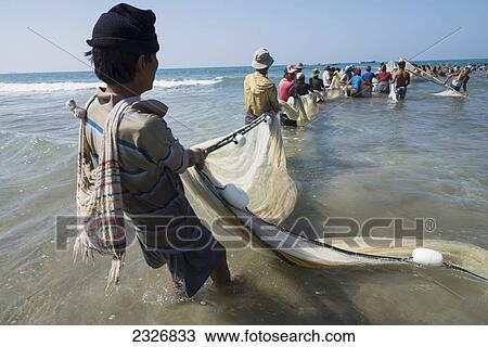 Stock Image - Myanmar (Burma), Fishing of small prawn; Irrawaddyi division. Fotosearch