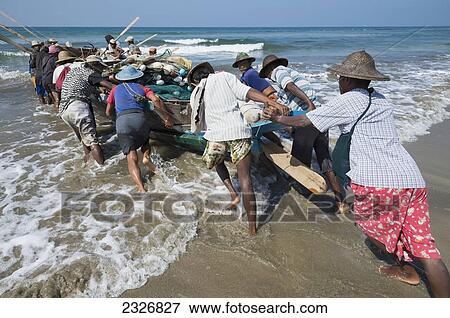 Stock Photo - Myanmar (Burma), Fishing of small prawn; Irrawaddyi division. Fotosearch