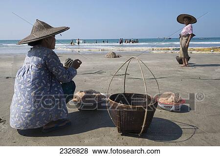 Myanmar (Burma), Fishing of small prawn; Irrawaddyi division View Large Photo Image Stock Photo - Myanmar (Burma), Fishing of small prawn; Irrawaddyi division. Fotosearch