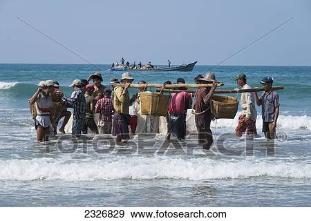 Myanmar (Burma), Fishing of small prawn; Irrawaddyi division View Large Photo Image Stock Photo - Myanmar (Burma), Fishing of small prawn; Irrawaddyi division. Fotosearch