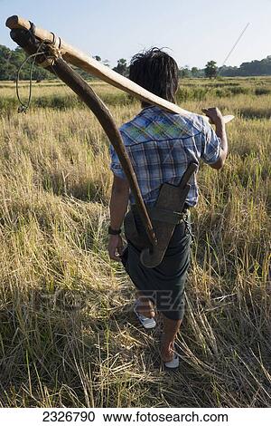 Stock Image - Myanmar (Burma), Irrawaddyi division, Farmer carrying wooden tool across fields; Yea Thoe village. Fotosearch