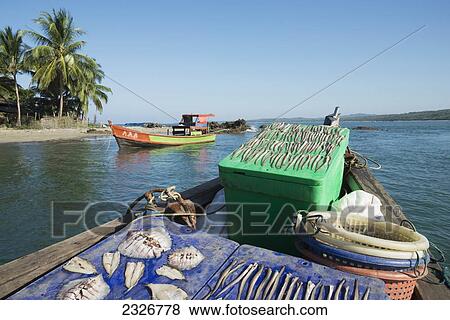 Myanmar (Burma), Irrawaddyi division, Fishing catch on fishing boat; Nag Yoke kaung village View Large Photo Image Stock Photo - Myanmar (Burma), Irrawaddyi division, Fishing catch on fishing boat; Nag Yoke kaung village. Fotosearch