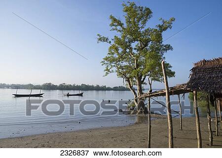 Myanmar (Burma), river and mangrove; Irrawaddyi division, Landscape with boat View Large Photo Image Stock Photo - Myanmar (Burma), river and mangrove; Irrawaddyi division, Landscape with boat. Fotosearch