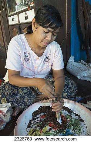 Stock Photo - Myanmar (Burma), Woman making cheroot cigars by hand; Irrawaddyi division. Fotosearch