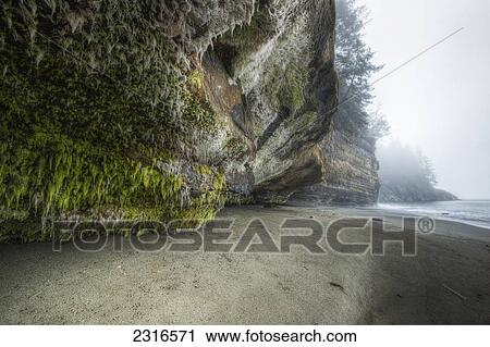 Mystic Beach Along The Juan De Fuca Marine Trail; Vancouver Island British Columbia Canada View Large Photo Image Stock Image - Mystic Beach Along The Juan De Fuca Marine Trail; Vancouver Island British Columbia Canada. Fotosearch