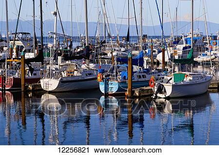 Nanoose Bay marina before sunset; Vancouver Island, British Columbia, Canada View Large Photo Image Stock Image - Nanoose Bay marina before sunset; Vancouver Island, British Columbia, Canada. Fotosearch
