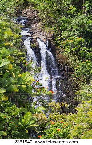 Stock Image - Nanue waterfall located on the Hamakua coast; Big Island, Hawaii, Hawaii, United States of America. Fotosearch
