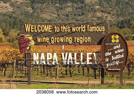 Stock Photo - Napa Valley Vineyard In Autumn; California United States Of America. Fotosearch
