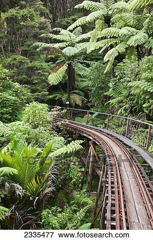 Stock Photo - Narrow Railroad Track In Forest; New Zealand. Fotosearch