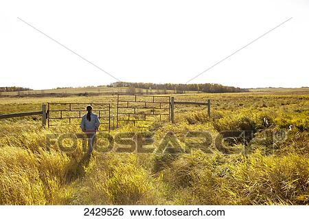 Native American boy approaching a farm gate in an open field; Rossburn, Manitoba, Canada View Large Photo Image Stock Photograph - Native American boy approaching a farm gate in an open field; Rossburn, Manitoba, Canada. Fotosearch