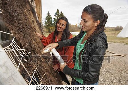 Native American girls preparing a buffalo hide; Rossburn, Manitoba, Canada View Large Photo Image Stock Image - Native American girls preparing a buffalo hide; Rossburn, Manitoba, Canada. Fotosearch