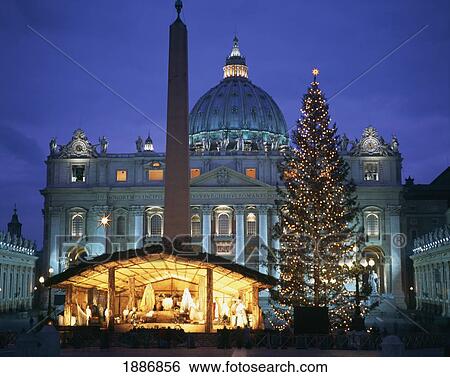 Nativity Scene With Christmas Tree In Piazza San Pietro Outside Of St. Peter's Basilica View Large Photo Image Stock Photograph - Nativity Scene With Christmas Tree In Piazza San Pietro Outside Of St. Peter's Basilica. Fotosearch