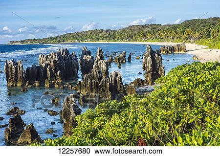 Stock Image - Nauru's rocky coastline; Nauru. Fotosearch