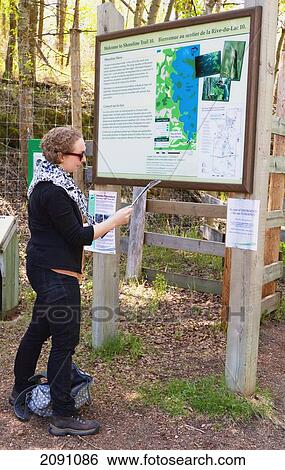 Stock Photograph - Navigating The Map In Elk Island National Park; Alberta, Canada. Fotosearch