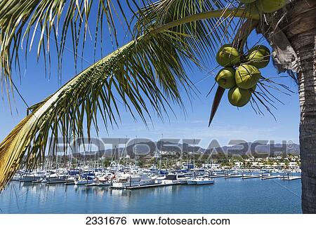 near Puerta Vallarta; Mexico, La Cruz de Huanacaxtle and Riviera Nayarit Marina View Large Photo Image Stock Photograph - near Puerta Vallarta; Mexico, La Cruz de Huanacaxtle and Riviera Nayarit Marina. Fotosearch