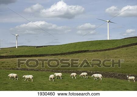 Near Skipton, West Yorkshire, England, Uk. View Large Photo Image Stock Image - Near Skipton, West Yorkshire, England, Uk.. Fotosearch