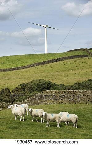 Stock Photo - Near Skipton, West Yorkshire, England, Uk.. Fotosearch