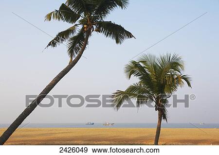 Neeleshwar hermitage beach; Kerala, India View Large Photo Image Stock Photo - Neeleshwar hermitage beach; Kerala, India. Fotosearch