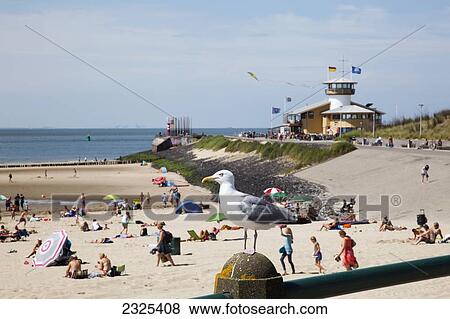 Stock Photo - Netherlands, Zealand, People on beach and seagull perched on post with view; Vlissingen. Fotosearch