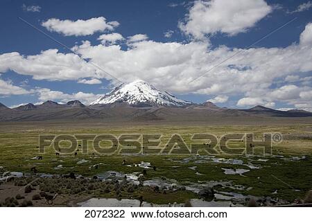 Nevado Sajama, Sajama National Park, Oruro Department, Bolivia View Large Photo Image Stock Image - Nevado Sajama, Sajama National Park, Oruro Department, Bolivia. Fotosearch