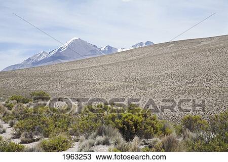 Stock Image - Nevados De Payachata (Pomerape Volcano And Parinacota Volcano), Lauca National Park, Arica And Parinacota Region, Chile. Fotosearch