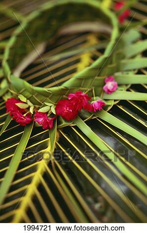 Stock Image - New Caledonia, Close-Up Of Tropical Palm Leaf Hat With Bright Pink Flowers. Fotosearch