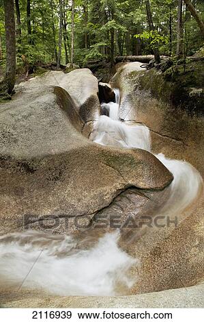 Stock Photo - New England, New Hampshire, White Mountains, Pine Trees and a rocky riverbed.. Fotosearch