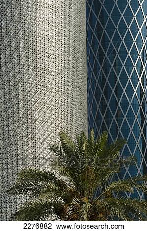 New office buildings and date palm; Doha, Qatar View Large Photo Image Stock Image - New office buildings and date palm; Doha, Qatar. Fotosearch