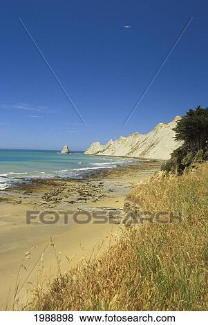 Stock Photo - New Zealand, Gannet Colony, Cape Kidnappers, Stretch Of Empty Beach.. Fotosearch