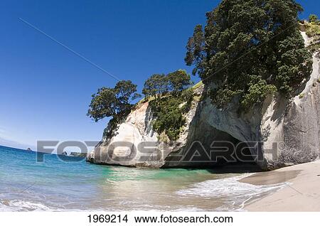 Picture - New Zealand, North Island, Coromandel, Cathedral Cove, Sandstone Island Known Has 'te Hoho'.. Fotosearch