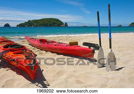 New Zealand, North Island, Coromandel, Otara Bay, White Sandy Beach. View Large Photo Image Stock Image - New Zealand, North Island, Coromandel, Otara Bay, White Sandy Beach.. Fotosearch