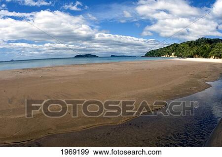 Stock Photo - New Zealand, North Island, Coromandel, Sailor's Grave Beach, Fisheye Lens.. Fotosearch