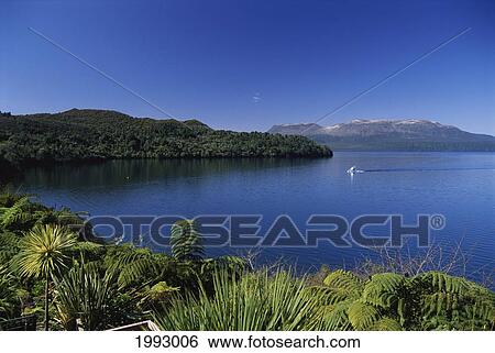 Stock Photograph - New Zealand, Rotorua, Fishing Boat On Lake Tarawera, Mount Tarawera In Background.. Fotosearch