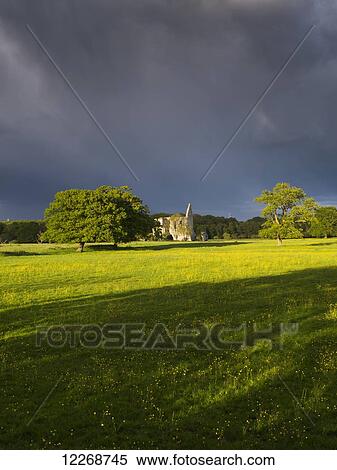 Stock Photography - Newark Priory; Surrey, England. Fotosearch