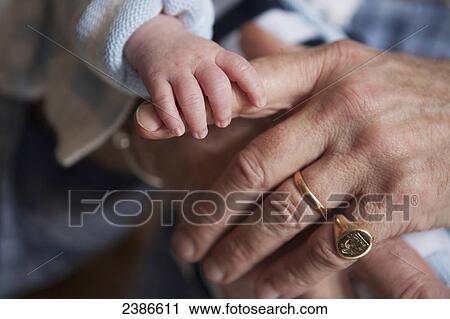 Newborn baby holds grandfather's forefinger; Toronto, Ontario, Canada View Large Photo Image Stock Image - Newborn baby holds grandfather's forefinger; Toronto, Ontario, Canada. Fotosearch