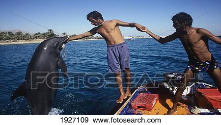 Stock Photo - Neweiba Dolphin Beach. Fotosearch