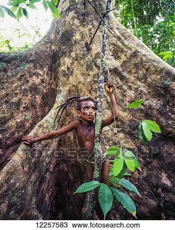 Stock Image - Ni-Vanuatu boy standing in Banyan tree; Malekula Island, Vanuatu. Fotosearch