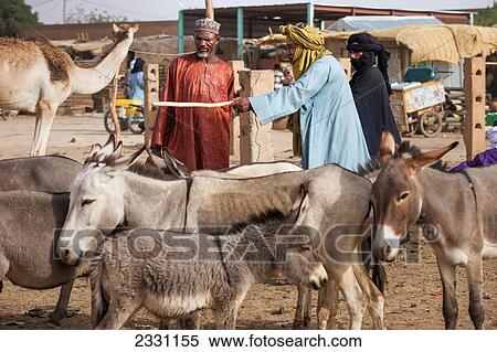 Niger, Housa man barting with Tuareg livestock trader at Agadez's livestock market; Agadez View Large Photo Image Stock Photography - Niger, Housa man barting with Tuareg livestock trader at Agadez's livestock market; Agadez. Fotosearch