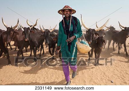 Niger, Peul Bororo or Woodabe pastoralist. Tiguidit Escarpment; Sahara Desert View Large Photo Image Stock Photo - Niger, Peul Bororo or Woodabe pastoralist. Tiguidit Escarpment; Sahara Desert. Fotosearch