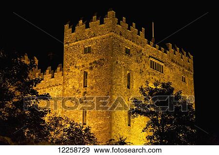 Stock Photo - Night lights illuminating Bunratty Castle with silhouetted trees and black sky; Bunratty, County Clare, Ireland. Fotosearch