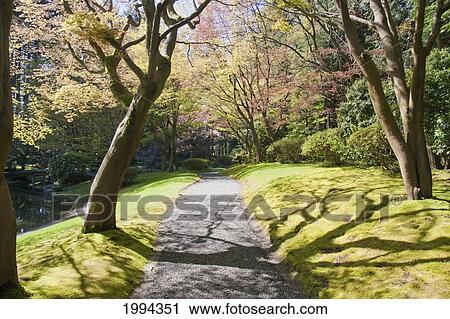 Nitobe Memorial Garden, A Traditional Japanese Tea And Stroll Garden Located At The University Of British Columbia, Vancouver, British Columbia, Canada View Large Photo Image Stock Image - Nitobe Memorial Garden, A Traditional Japanese Tea And Stroll Garden Located At The University Of British Columbia, Vancouver, British Columbia, Canada. Fotosearch