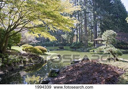 Nitobe Memorial Garden, A Traditional Japanese Tea And Stroll Garden Located At The University Of British Columbia, Vancouver, British Columbia, Canada View Large Photo Image Stock Photo - Nitobe Memorial Garden, A Traditional Japanese Tea And Stroll Garden Located At The University Of British Columbia, Vancouver, British Columbia, Canada. Fotosearch
