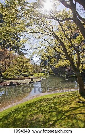 Nitobe Memorial Garden, A Traditional Japanese Tea And Stroll Garden Located At The University Of British Columbia, Vancouver, British Columbia, Canada View Large Photo Image Stock Photo - Nitobe Memorial Garden, A Traditional Japanese Tea And Stroll Garden Located At The University Of British Columbia, Vancouver, British Columbia, Canada. Fotosearch