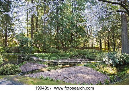 Nitobe Memorial Garden, A Traditional Japanese Tea And Stroll Garden Located At The University Of British Columbia, Vancouver, British Columbia, Canada View Large Photo Image Stock Photo - Nitobe Memorial Garden, A Traditional Japanese Tea And Stroll Garden Located At The University Of British Columbia, Vancouver, British Columbia, Canada. Fotosearch