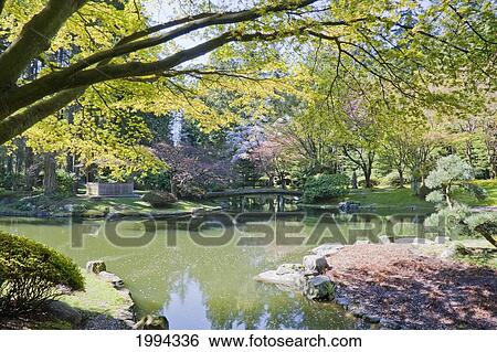 Nitobe Memorial Garden, A Traditional Japanese Tea And Stroll Garden Located At The University Of British Columbia, Vancouver, British Columbia, Canada View Large Photo Image Stock Photograph - Nitobe Memorial Garden, A Traditional Japanese Tea And Stroll Garden Located At The University Of British Columbia, Vancouver, British Columbia, Canada. Fotosearch